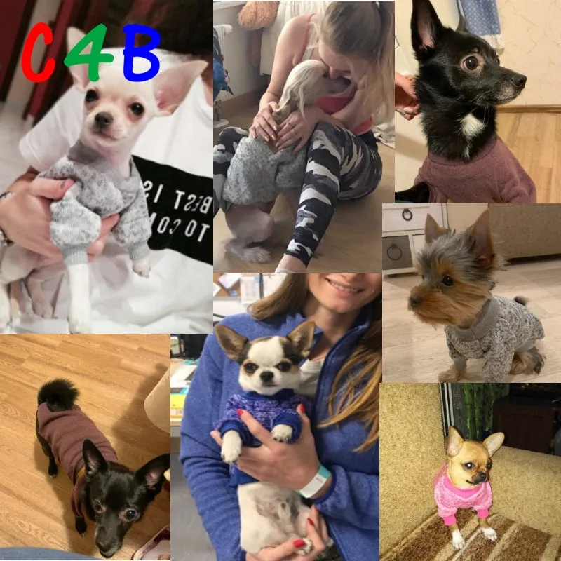 Chihuahua Clothes Pet Outfit
