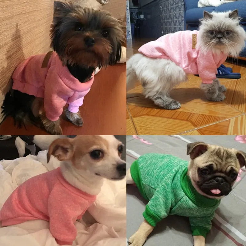 Chihuahua Clothes Pet Outfit